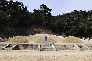 평산신씨시조(平山申氏 始祖),장절공(壯節公),신숭겸(申崇謙),유허비(遺墟碑),용산단(龍山培)