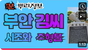 부안 김씨(扶安金氏) 시조와 조형물 1분 뿌리정보